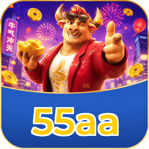55aa Interface